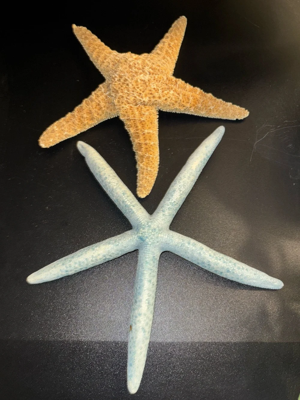Starfish Pair - Blue & Natural Tan Coastal Accents - Picture 1 of 6